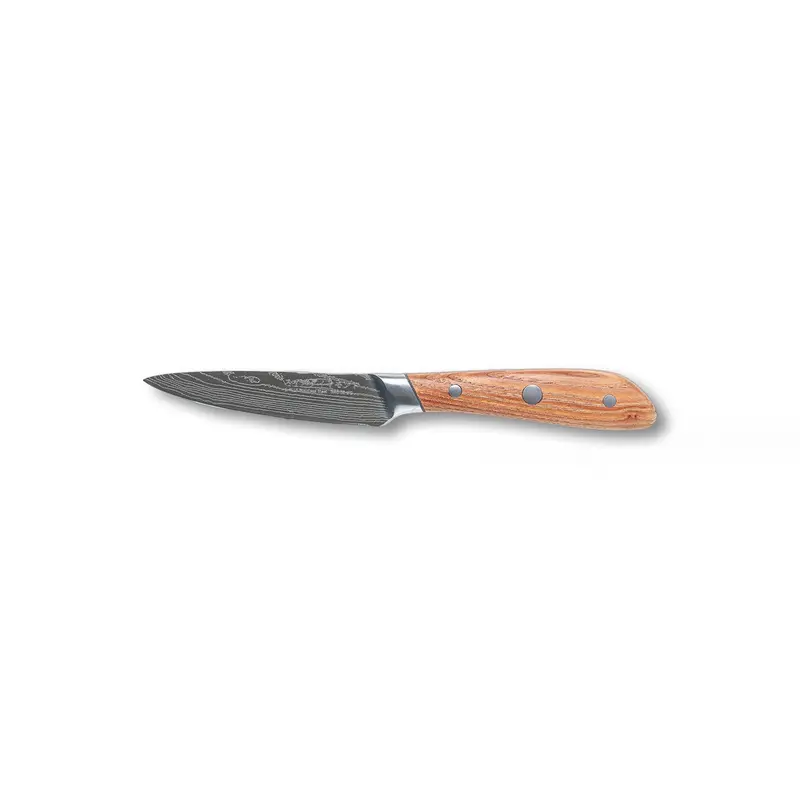 4-Inch Damascus-Steel Precision Paring Knife 1