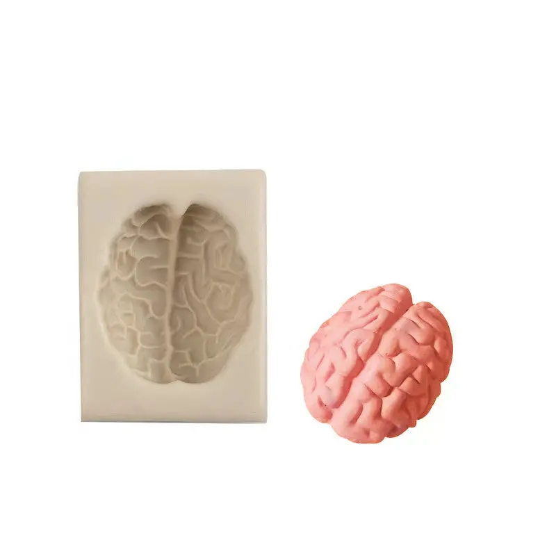 Anatomically Detailed Silicone Brain-Shaped Mould 1