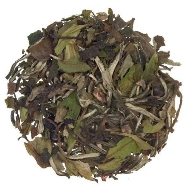Blueberry White Tea – Metropolitan Tea, 1.1 Lb Antioxidant-Rich Loose Leaf 1