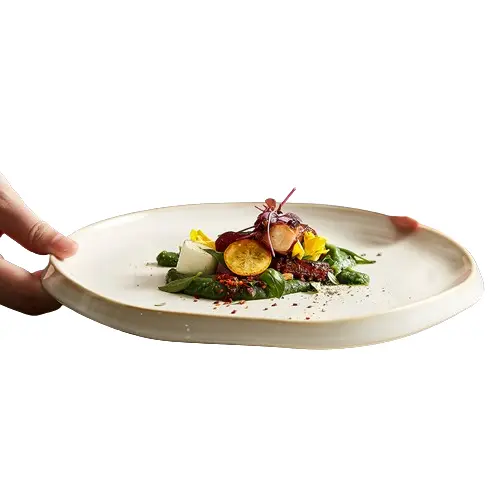 Cream-Colored Porcelain Dinner Plate – Modern Minimalist Tableware 4