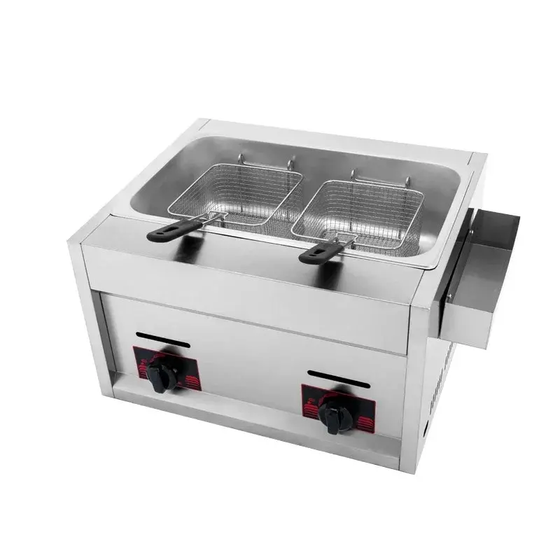 Dual-Basket Electric Deep Fryer – Stainless Steel Housing 1