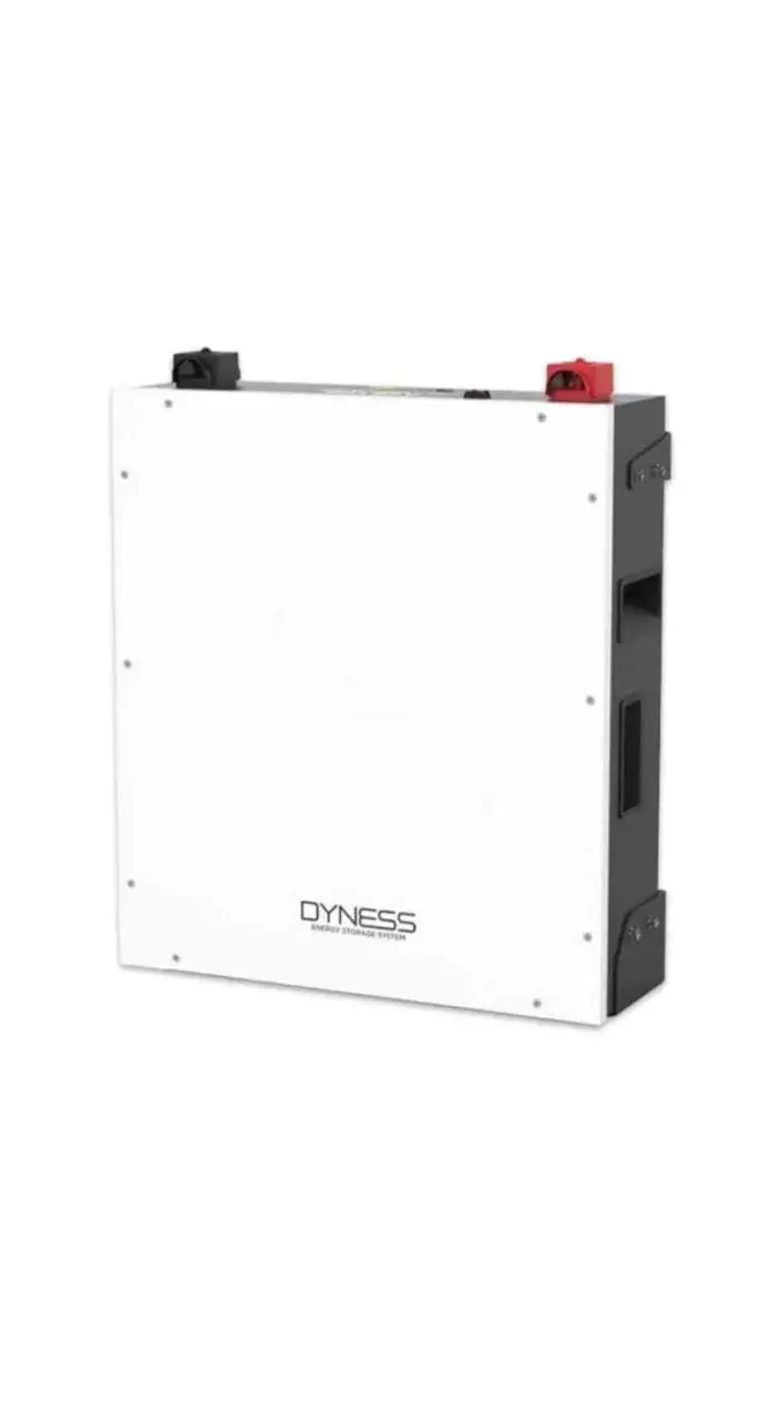 Dyness 5.12 Kw Lithium Iron Phosphate (Lifepo4) Battery Module 1