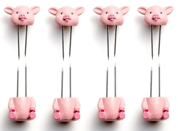 Outset Piglet-Shaped Corn Holders – 8-Piece Set 1