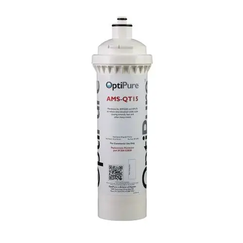 Pentair Ams-Qt Water Filter Replacement Cartridge 1