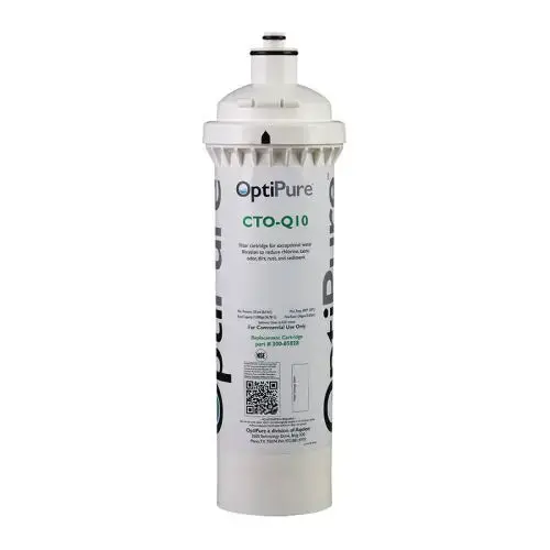 Pentair Cto-Q10 Carbon Block Filter Cartridge 1