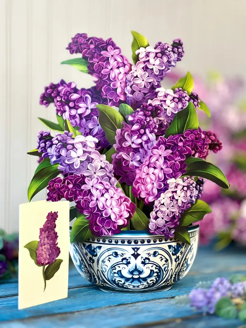Pop-Up Floral Bouquet & Plant Display Set – 9 Unique Designs 9
