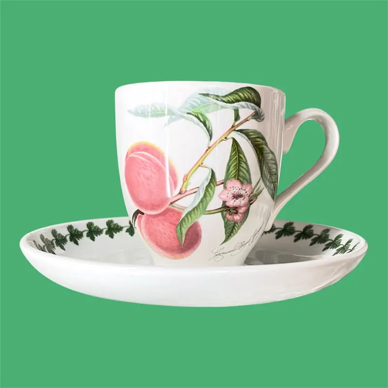 Portmeirion Pomona English Ceramic Coffee Cup And Saucer 1