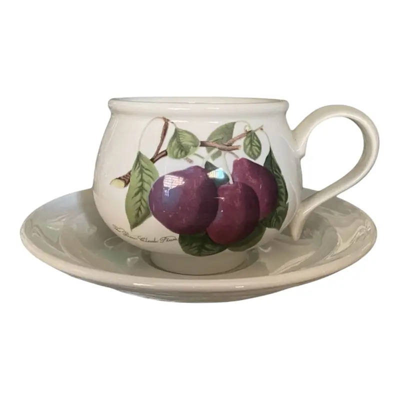 Portmeirion Pomona English Ceramic Tea Cup And Saucer 1