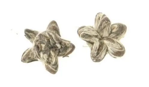 Star Of China Artisan Loose Leaf Tea – Metropolitan Tea Company 1