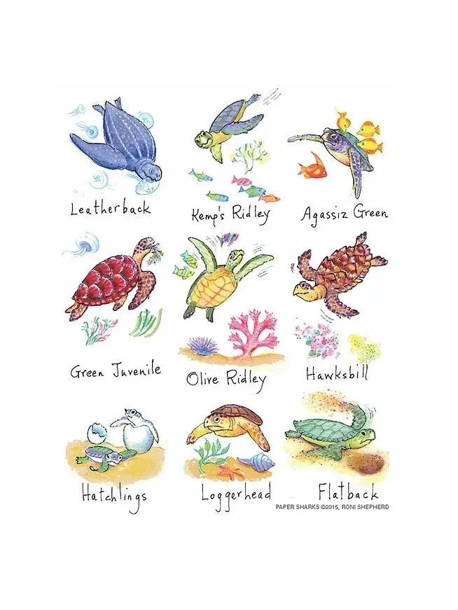 The Compleat Kitchen Flour Sack Towel – Honu (Sea Turtle) Print 1